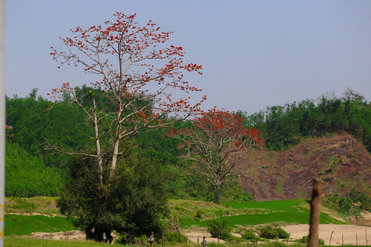 Núi Thành Travel