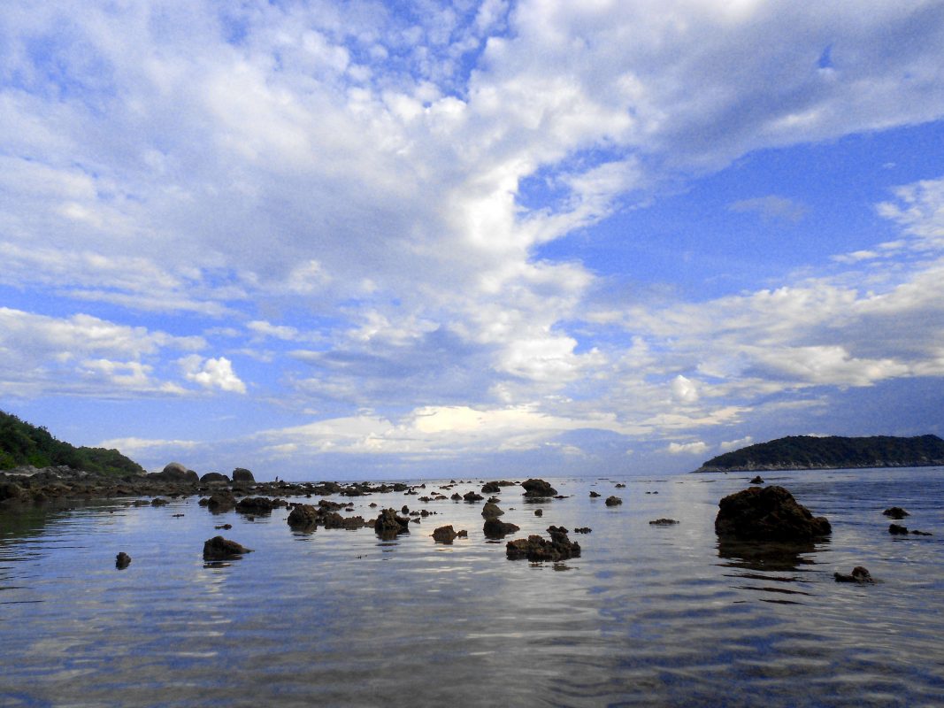 Núi Thành Travel