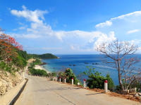 Núi Thành Travel