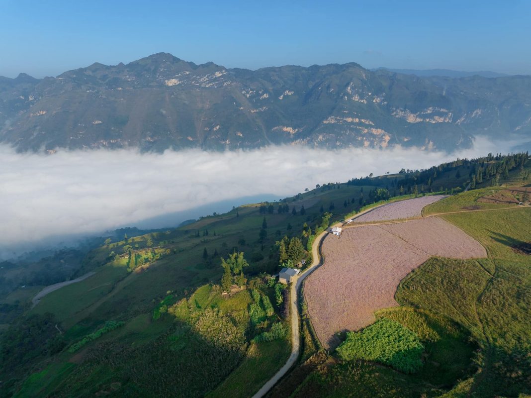 Núi Thành Travel